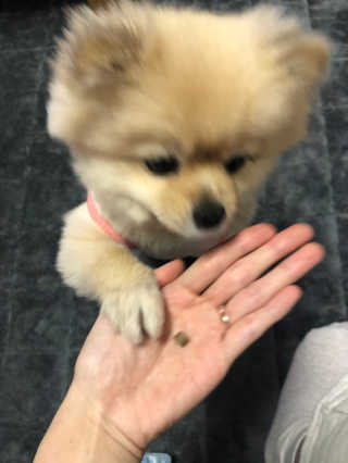 berryjjung님이 올린 리뷰 사진 3