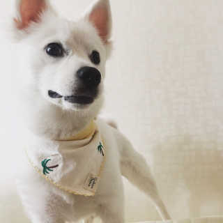 채연님이 올린 리뷰 사진 4