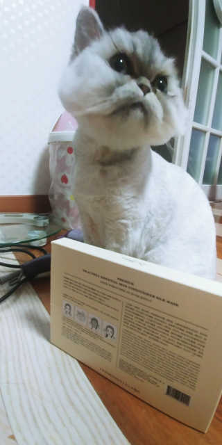 김정현님이 올린 리뷰 사진 1