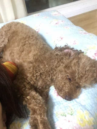 김경희님이 올린 리뷰 사진 4