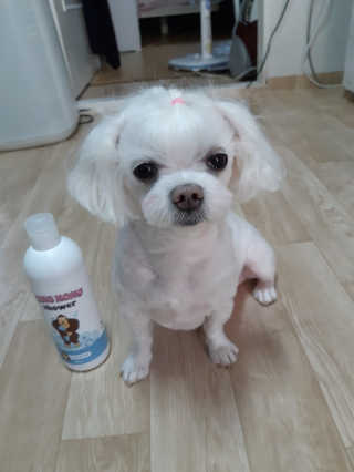 두부님이 올린 리뷰 사진 1