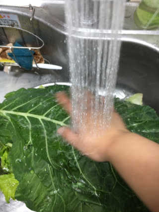 케이트25님이 올린 리뷰 사진 4