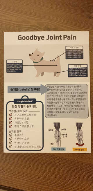 잠보아 뉴트리페어 굿바이 조인트페인 — 4점을 준 리뷰어가 2020년 2월 올린 사용 사진