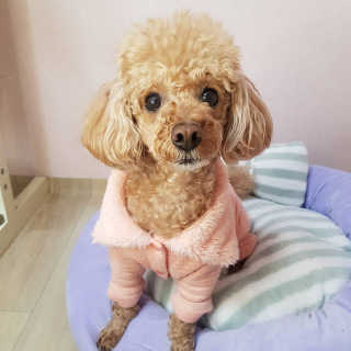 sombling0414님이 올린 리뷰 사진 4