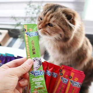 펫토리아 짜먹는 토로토로 고양이 파우치 간식 — 5점을 준 리뷰어가 2019년 6월 올린 사용 사진