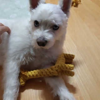 MK님이 올린 리뷰 사진 1