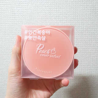 [블랙루즈] 피치 커버 벨벳 쿠션 2종 중 택1 — 3점을 준 리뷰어가 2019년 9월 올린 사용 사진