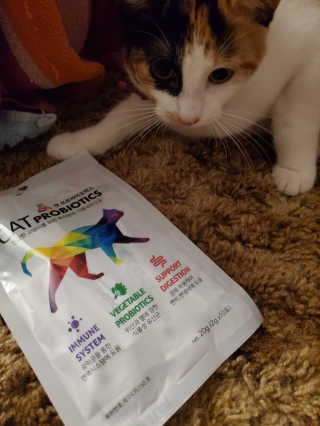 Belleglow30님이 올린 리뷰 사진 1