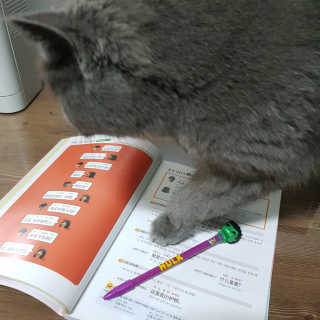 제트님이 올린 리뷰 사진 3