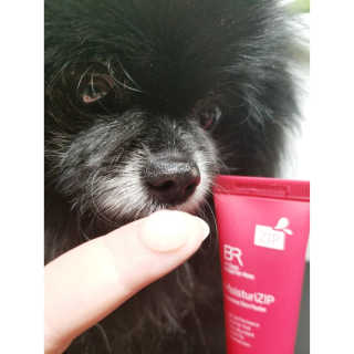 Peepingpomeranian님이 올린 리뷰 사진 1