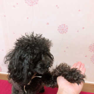 뚜르기님이 올린 리뷰 사진 4