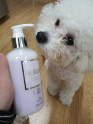 두부베리님이 올린 리뷰 사진 1
