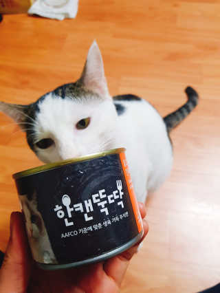 [펫토리아] BEST 한캔뚝딱 고양이 주식캔 — 5점을 준 리뷰어가 2019년 3월 올린 사용 사진