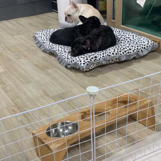 엄지콩님이 올린 리뷰 사진 2