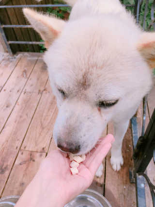 졔졔님이 올린 리뷰 사진 1