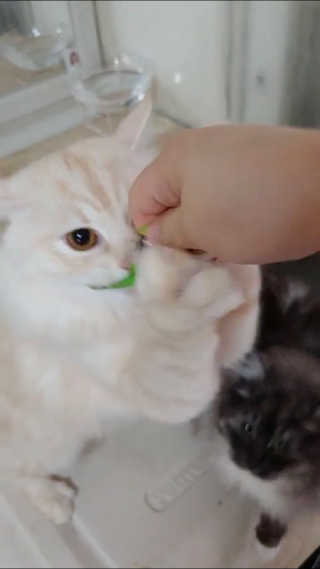 박지선님이 올린 리뷰 사진 4