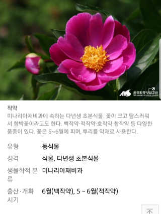 잇픈가시나님이 올린 리뷰 사진 4