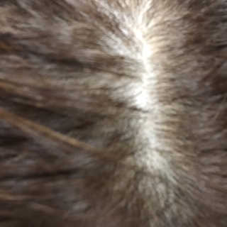 프라이걸님이 올린 리뷰 사진 3