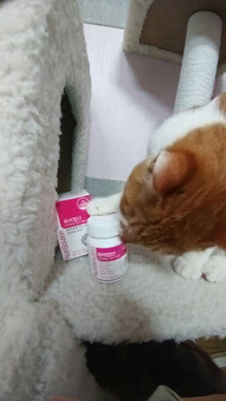 Jaehoon.y님이 올린 리뷰 사진 4