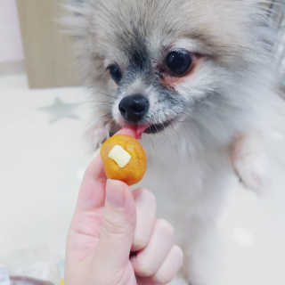 보람님이 올린 리뷰 사진 2
