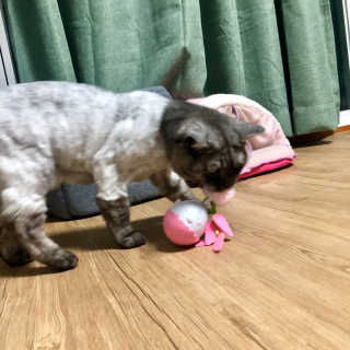 지연님이 올린 리뷰 사진 4