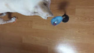 J님이 올린 리뷰 사진 3