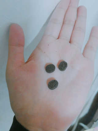 쑤루기님이 올린 리뷰 사진 4