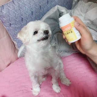 🦄행운의여신유니콩🦄님이 올린 리뷰 사진 1