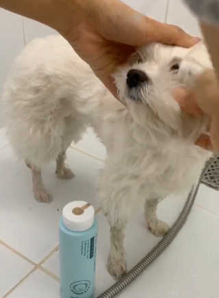 heemaelee님이 올린 리뷰 사진 3
