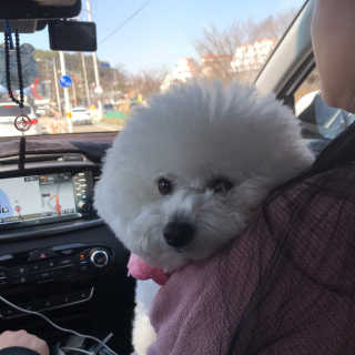 다영꼰듀님이 올린 리뷰 사진 1
