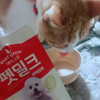 [빙그레] 에버그로 생유산균 1봉（10포입）+펫밀크2팩 — 5점을 준 리뷰어가 2019년 5월 올린 사용 사진