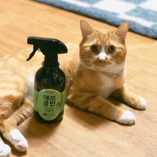 더블유드레스룸 페브클린 500ml — 4.83점을 준 리뷰어가 2018년 8월 올린 사용 사진