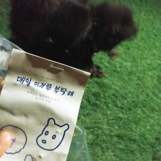 제주도에서 온 깨끗한 친환경 반려동물 음식 어글어글 — 5점을 준 리뷰어가 2018년 7월 올린 사용 사진