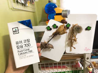 네츄럴굿띵스 퓨어 코랄 칼슘 700 30일분 — 4.5점을 준 리뷰어가 2018년 9월 올린 사용 사진