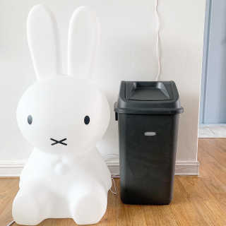 창신리빙 프랑코 퍼블릭 스윙 휴지통 10L, 25L, 35L — 5점을 준 리뷰어가 2019년 9월 올린 사용 사진