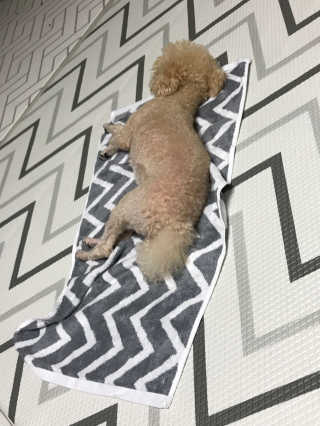 모모맘님이 올린 리뷰 사진 3