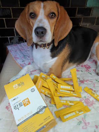 beaglelove님이 올린 리뷰 사진 2