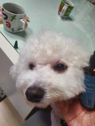 나님a님이 올린 리뷰 사진 2
