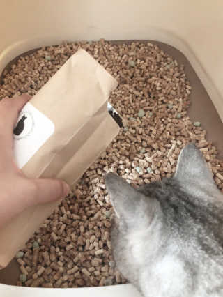 jinvely님이 올린 리뷰 사진 2