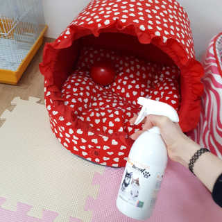 김민주님이 올린 리뷰 사진 2