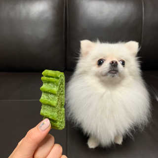 보라미90님이 올린 리뷰 사진 3