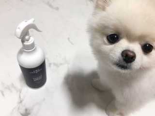셀로몬 토일렛 스프레이 500ml — 5점을 준 리뷰어가 2018년 5월 올린 사용 사진