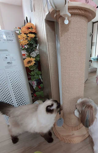 김아빈님이 올린 리뷰 사진 1