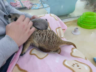 우용님이 올린 리뷰 사진 1