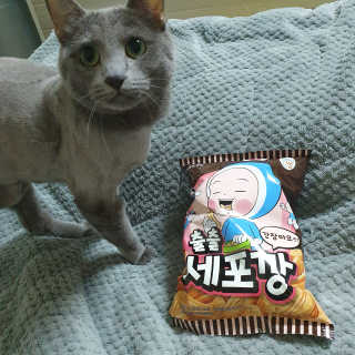 여온님이 올린 리뷰 사진 1