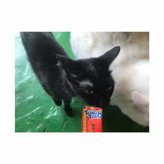 vmintv님이 올린 리뷰 사진 3