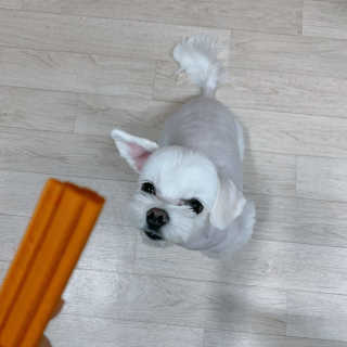 꾸딩님이 올린 리뷰 사진 4