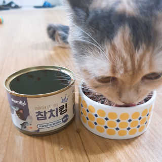 동원 참치킹 고양이 캔 12개입 — 4점을 준 리뷰어가 2018년 10월 올린 사용 사진