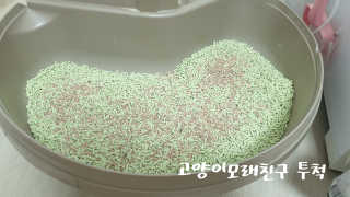 메데카솔님이 올린 리뷰 사진 4