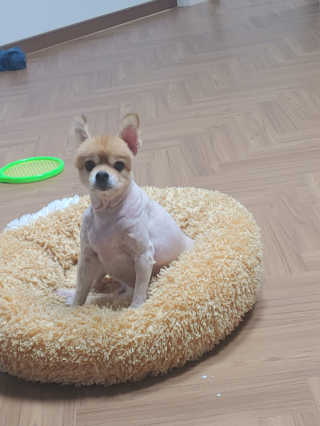 이은미님이 올린 리뷰 사진 2